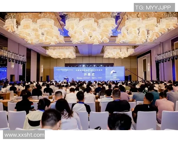 蓉港足球明星全景盘点及其成就与影响力分析 蓉港足球明星全景盘点及其成就与影响力分析