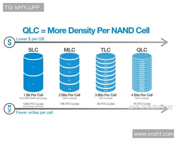 提升网球水平的必备训练器材推荐与选购指南