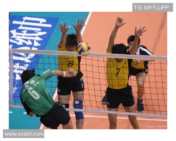 武汉排球队的拼搏之路挑战赛特别报道展现奋斗精神与团队力量 武汉排球队的拼搏之路挑战赛特别报道展现奋斗精神与团队力量