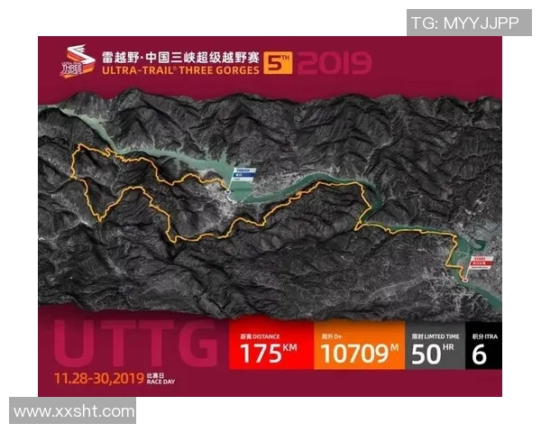 南京排球队挑战赛背后的拼搏故事与奋斗历程全景回顾 南京排球队挑战赛背后的拼搏故事与奋斗历程全景回顾