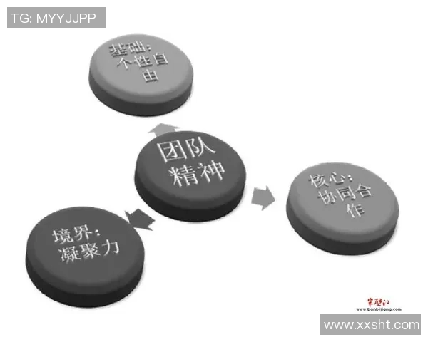 南京篮球队默契配合揭秘：从战术到团队精神的深度解析