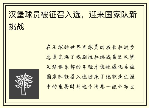 汉堡球员被征召入选，迎来国家队新挑战